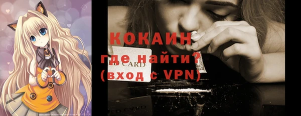 индика Вязьма