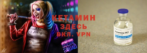 индика Вязьма