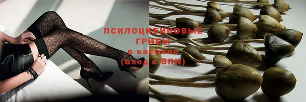 индика Вязьма