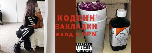 индика Вязьма
