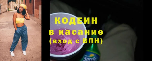 индика Вязьма