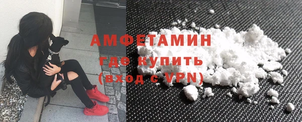 индика Вязьма