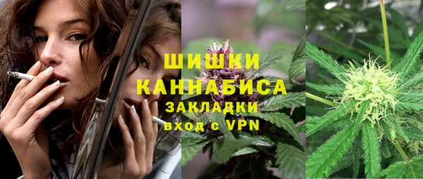 индика Вязьма