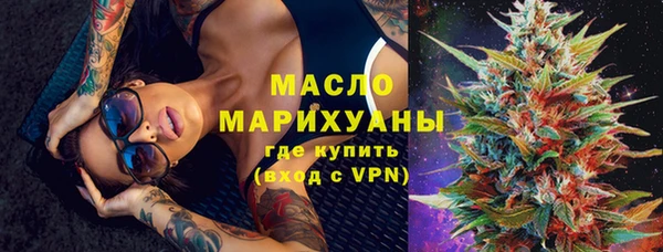 индика Вязьма