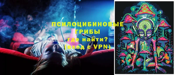 индика Вязьма