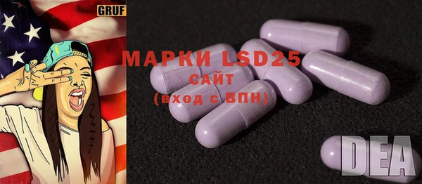 индика Вязьма