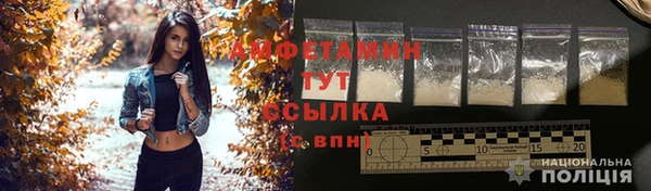 индика Вязьма