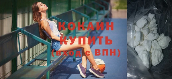 индика Вязьма